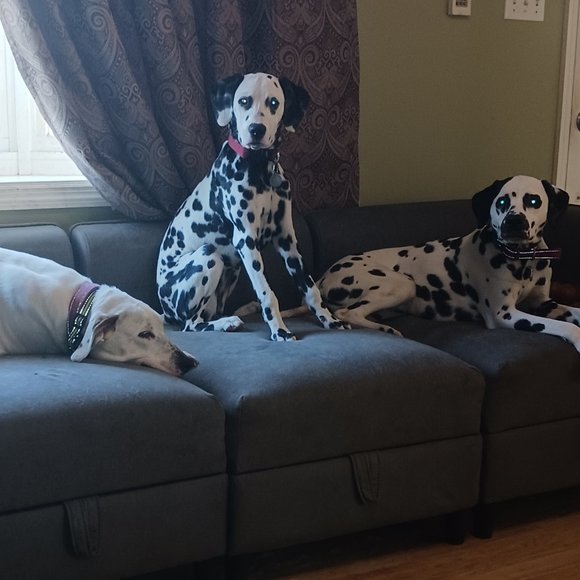 Meet your Posher, Ruth - Picture 10 of 13